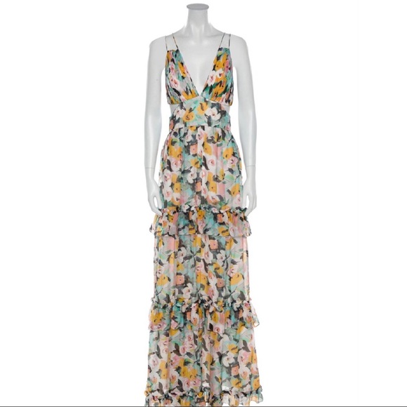 Amur Dresses & Skirts - NWT AMUR Drew Gown in Brushstroke Floral Size 6
